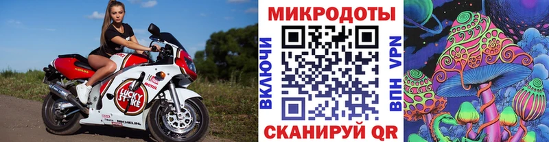 Псилоцибиновые грибы мицелий  Лабинск 